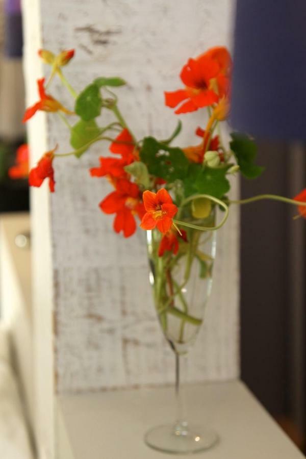 Comme Une Parenthese Au Coeur Des Hortillonnages Amiens Dış mekan fotoğraf